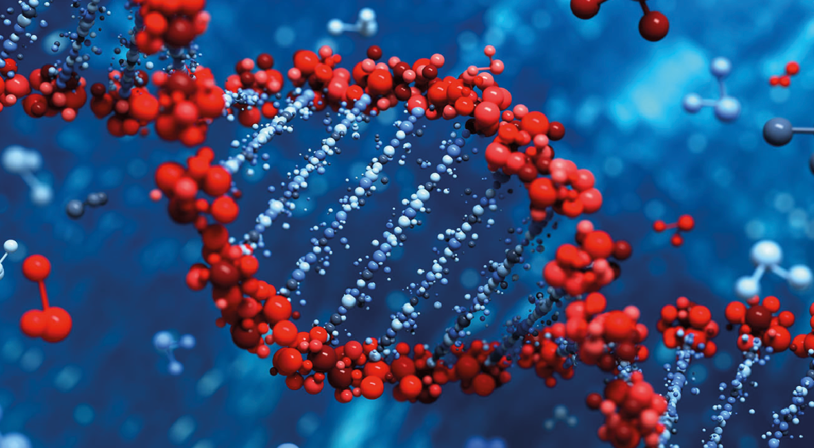 Red and Blue DNA picture