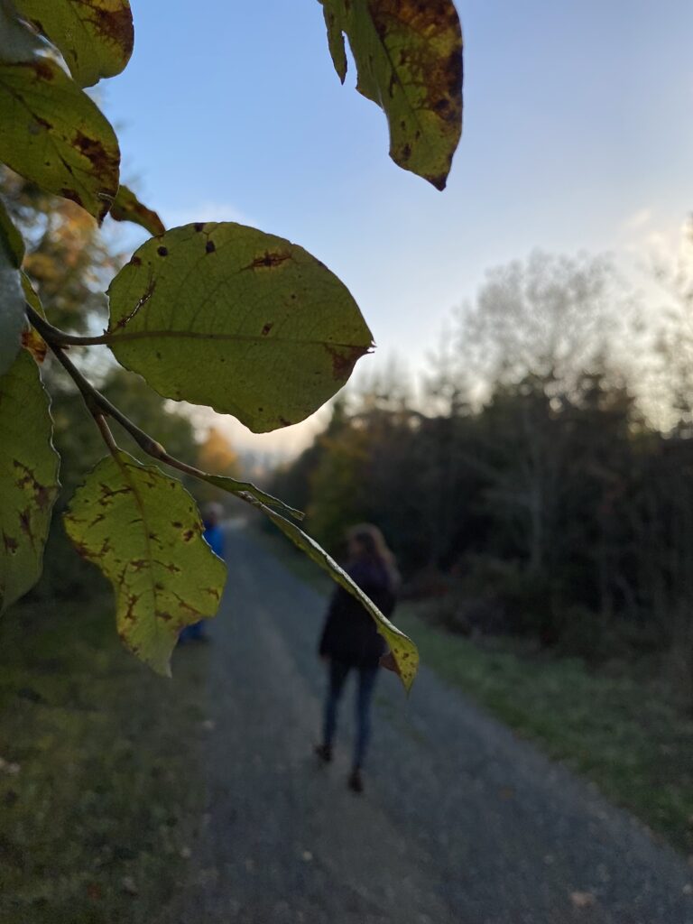 A person walks along a road in autumn