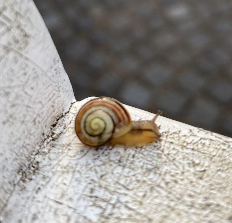 80 gadu progress FXS pētniecībā