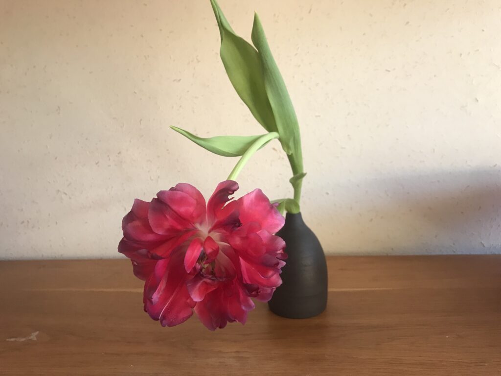 Red flower in a poor state