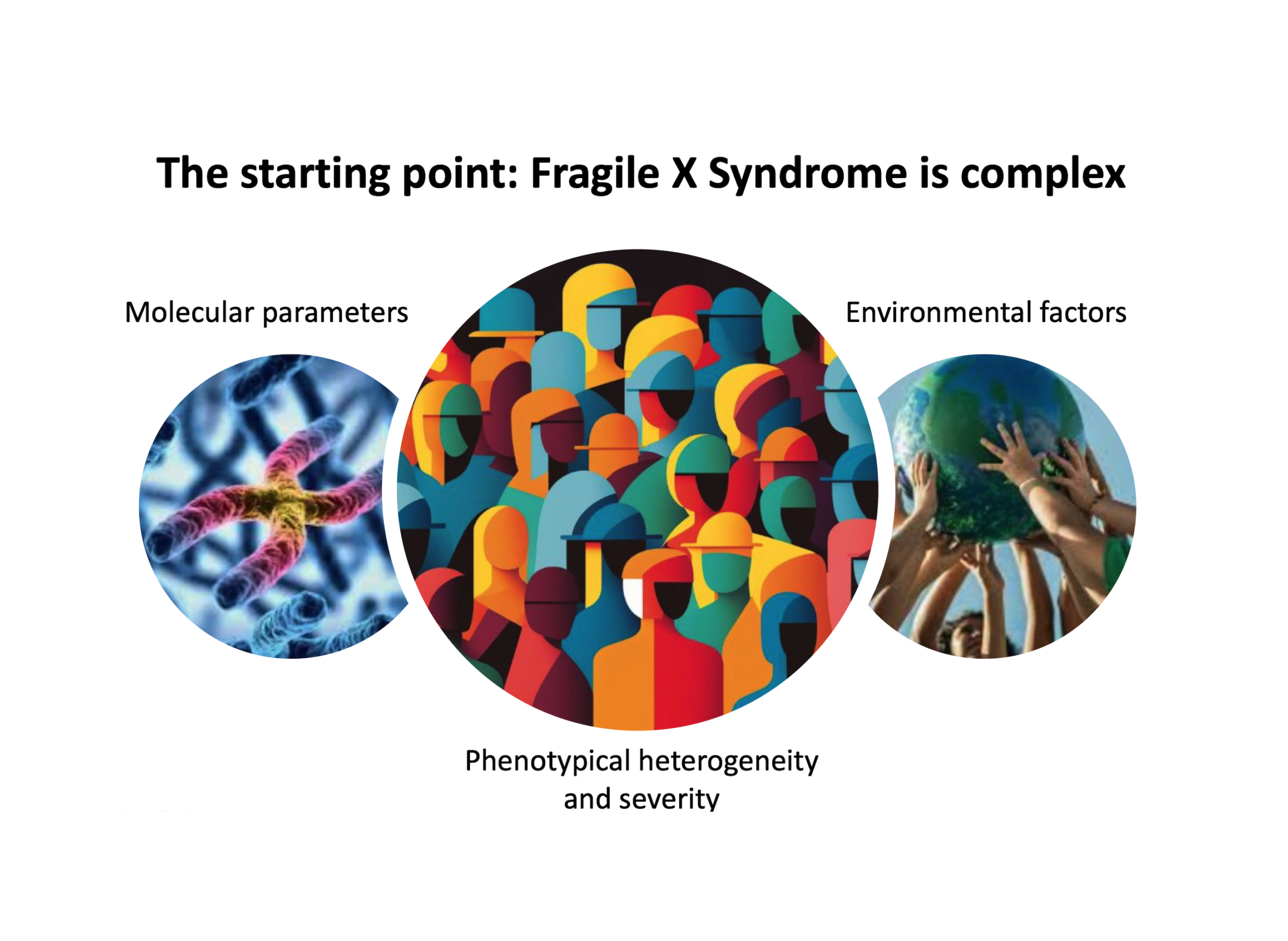 Global View on Fragile X Syndrome