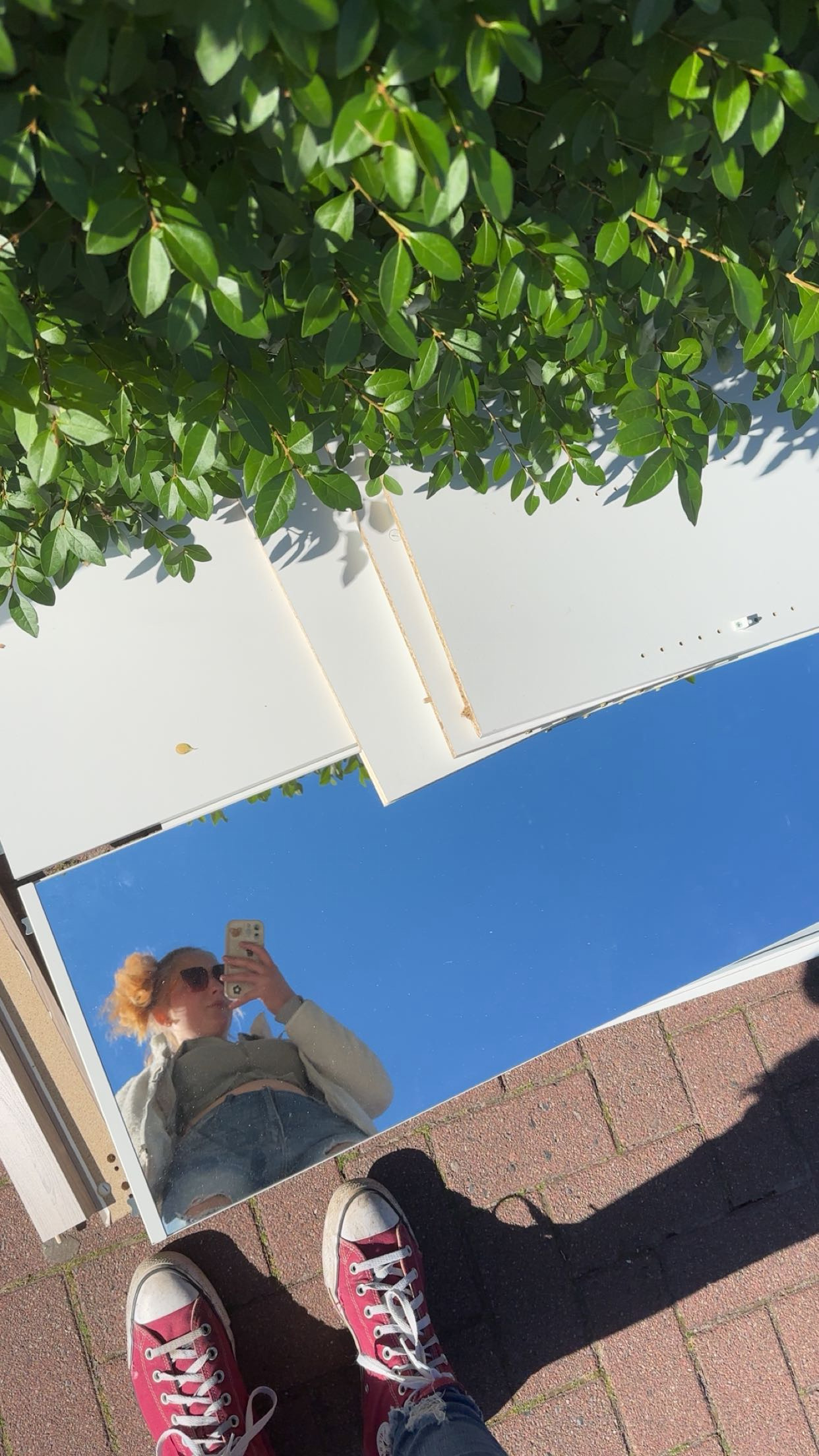 A Face in a Mirror which has a blue color