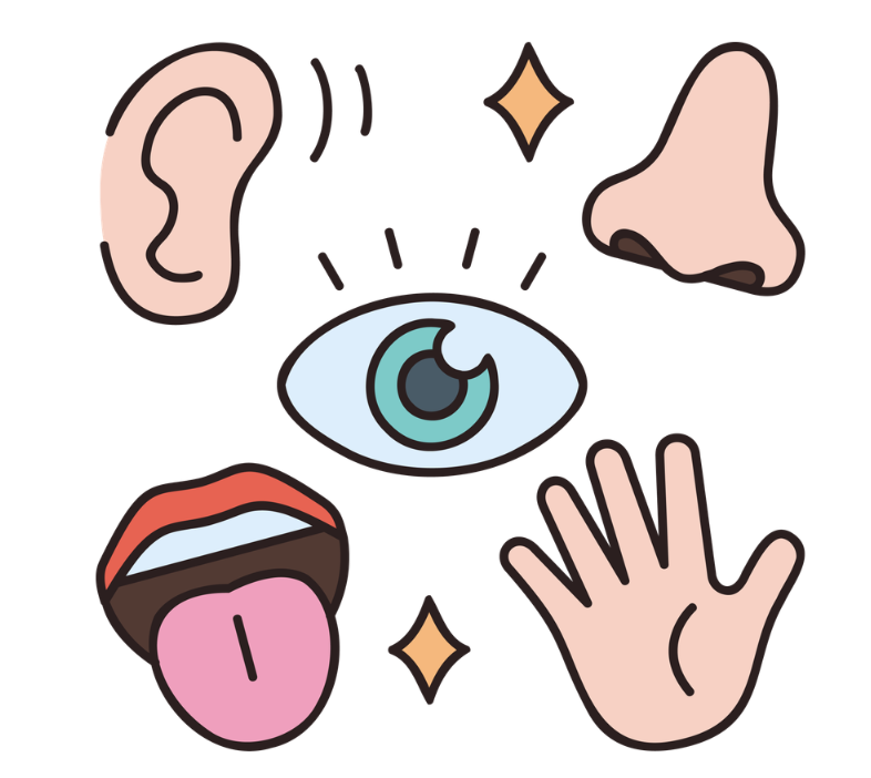 A graphic of an ear, an eye, a nose, a mouth and a hand