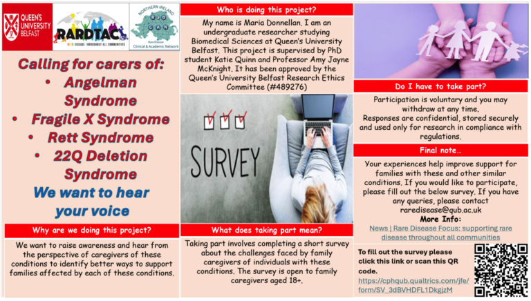 Brief summary of the survey