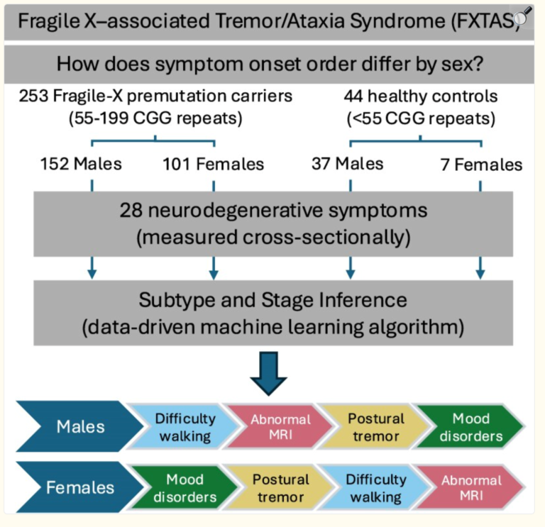 A diagram showing the impacts of FXTAS in male and female humans